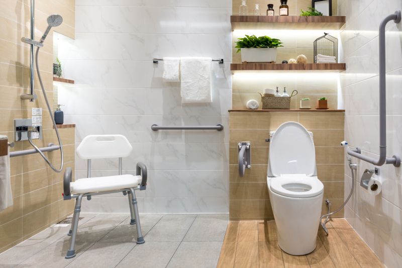 Modern Senior Bathroom Designs